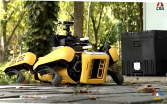 Robot Dogs started to control the distance between people Robot Dogs started to control the distance between people