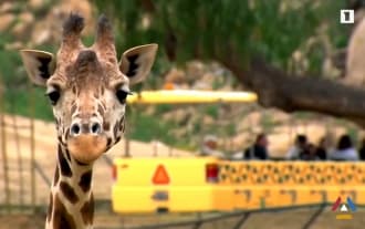 The most beautiful zoos in the world The most beautiful zoos in the world