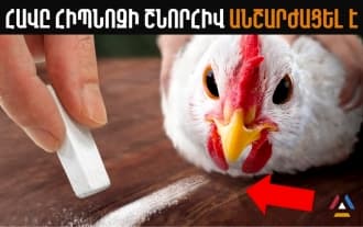 8 հետաքրքիր փաստեր կենդանիների մասին, որոնք Դուք չգիտեք | Հավի հիպնոզ