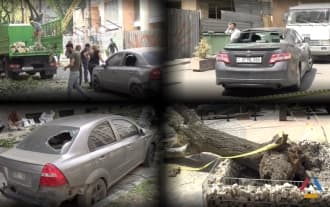 Сегодня в Ереване дерево упало на машины